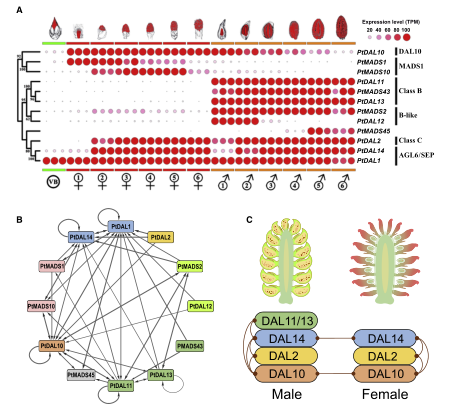 1658916805397739.png 5.png